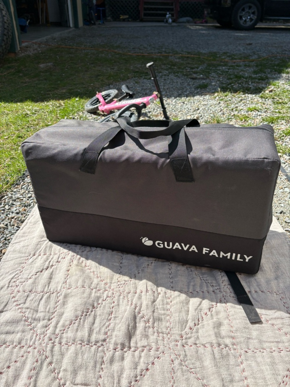 Guava Family Black Portable Bassinet and Carry Bag.